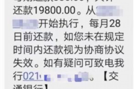 白山白山的要账公司在催收过程中的策略和技巧有哪些？